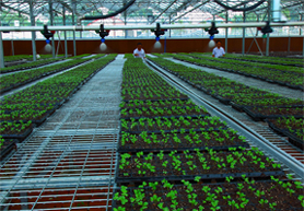 農田水肥一體化智能控制系統(tǒng)