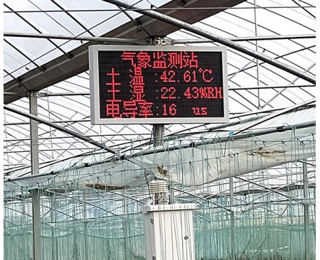 農(nóng)業(yè)大棚園區(qū)氣象監(jiān)測(cè)